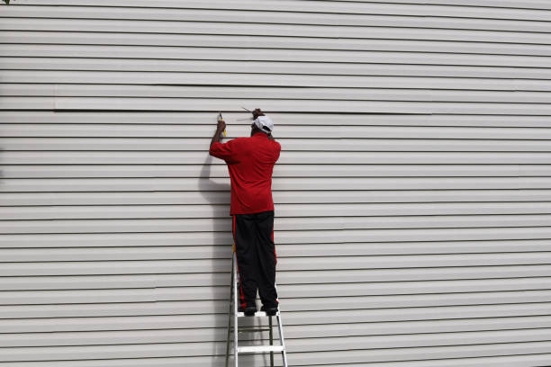 Best Aluminum Siding Installation  in Buckhorn, CA